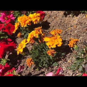 Meet your Posher, Jay